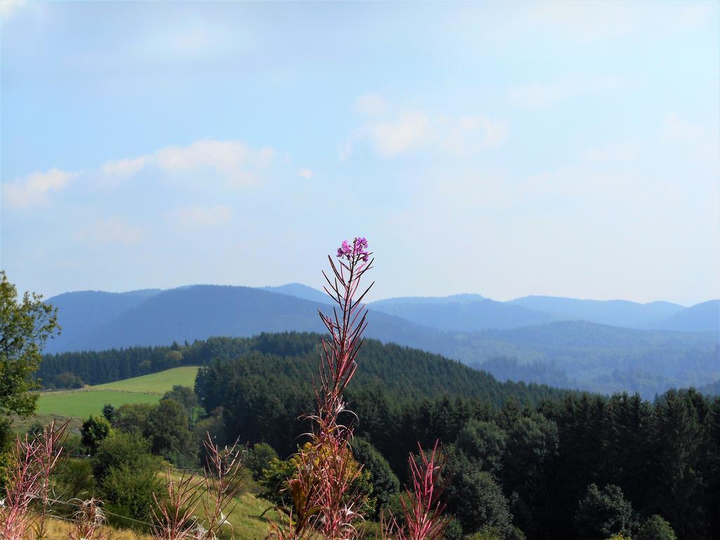 Apartment Blickfang Winterberg Dış mekan fotoğraf